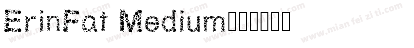 ErinFat Medium字体转换